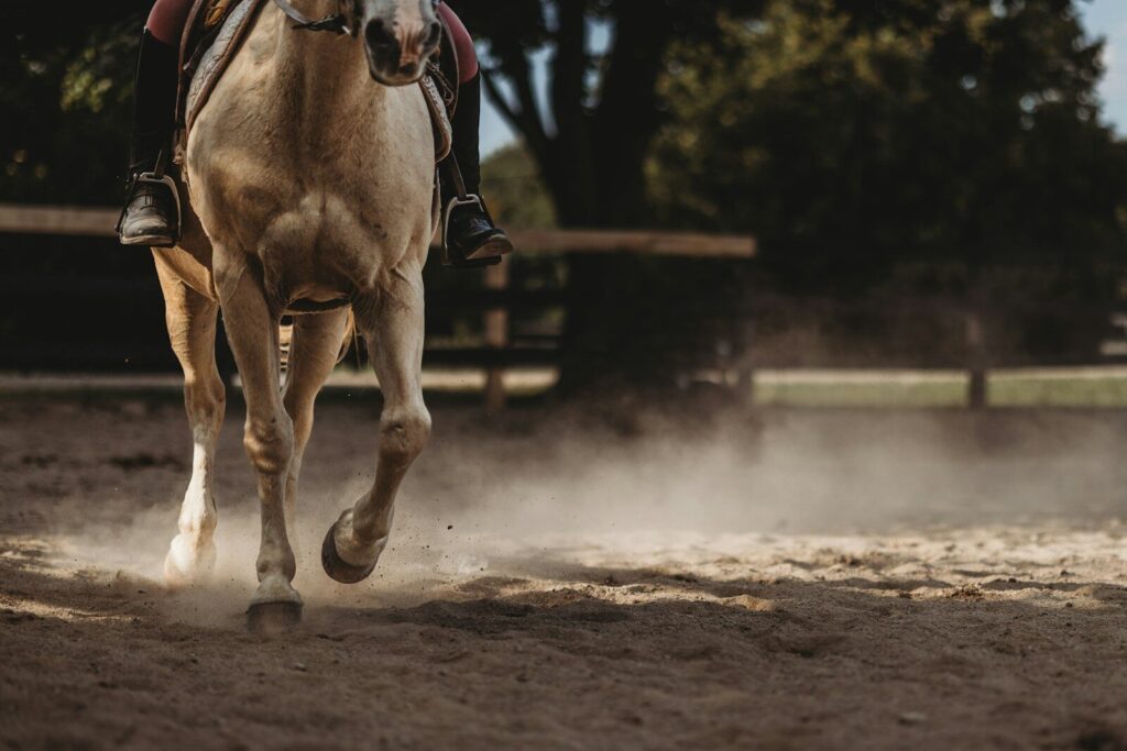 a horse running on a dirt track